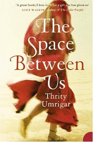 The Space Between Us: A powerful contemporary literary historical fiction novel exploring timeless themes