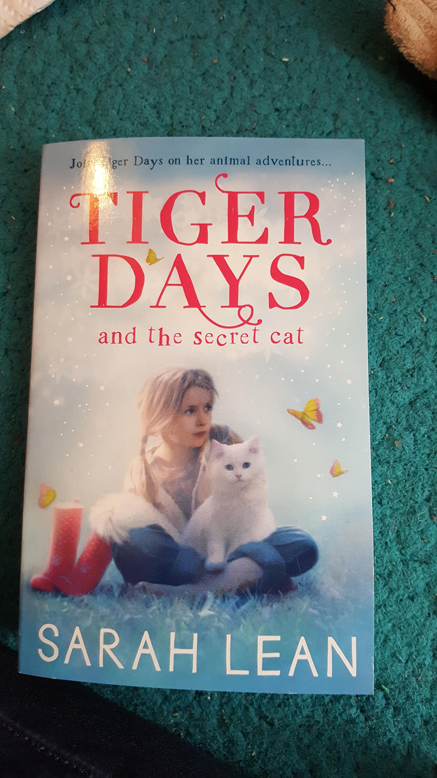 Tiger Days and the secret of the cat