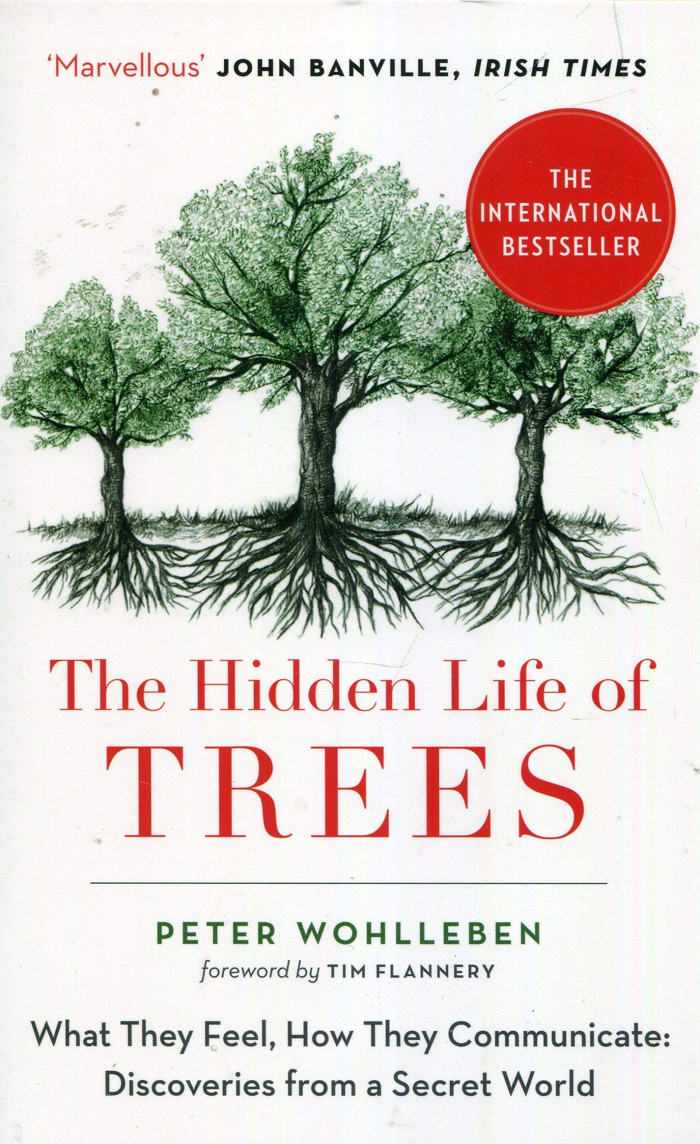 The Hidden Life of Trees: The International Bestseller