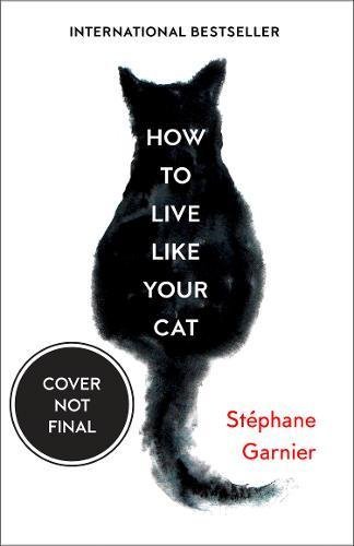 How to Live Like Your Cat
