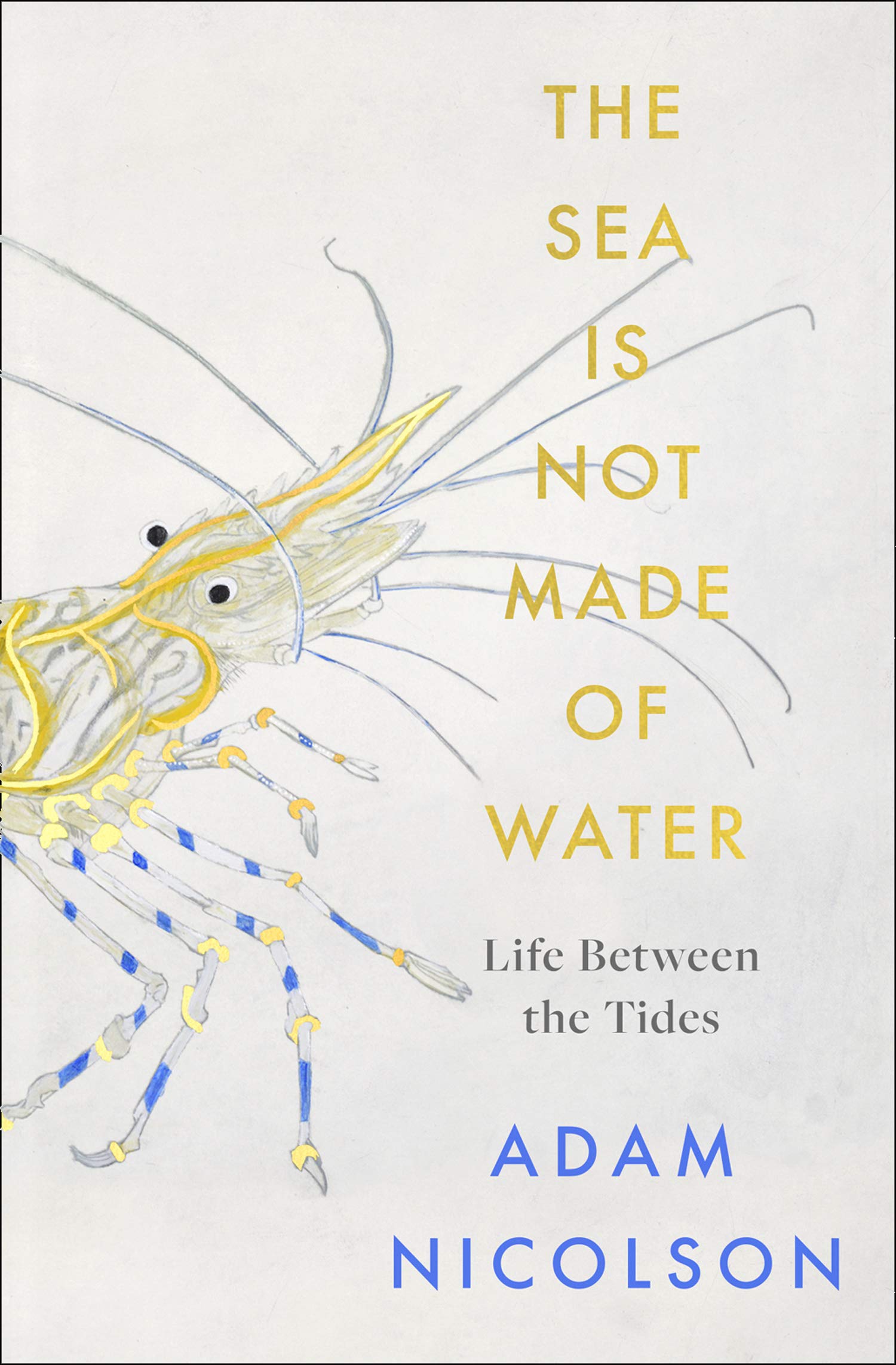 The Sea is Not Made of Water: Life Between the Tides