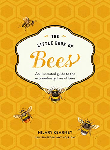 Kearney, H: Little Book of Bees: An Illustrated Guide to the Extraordinary Lives of Bees