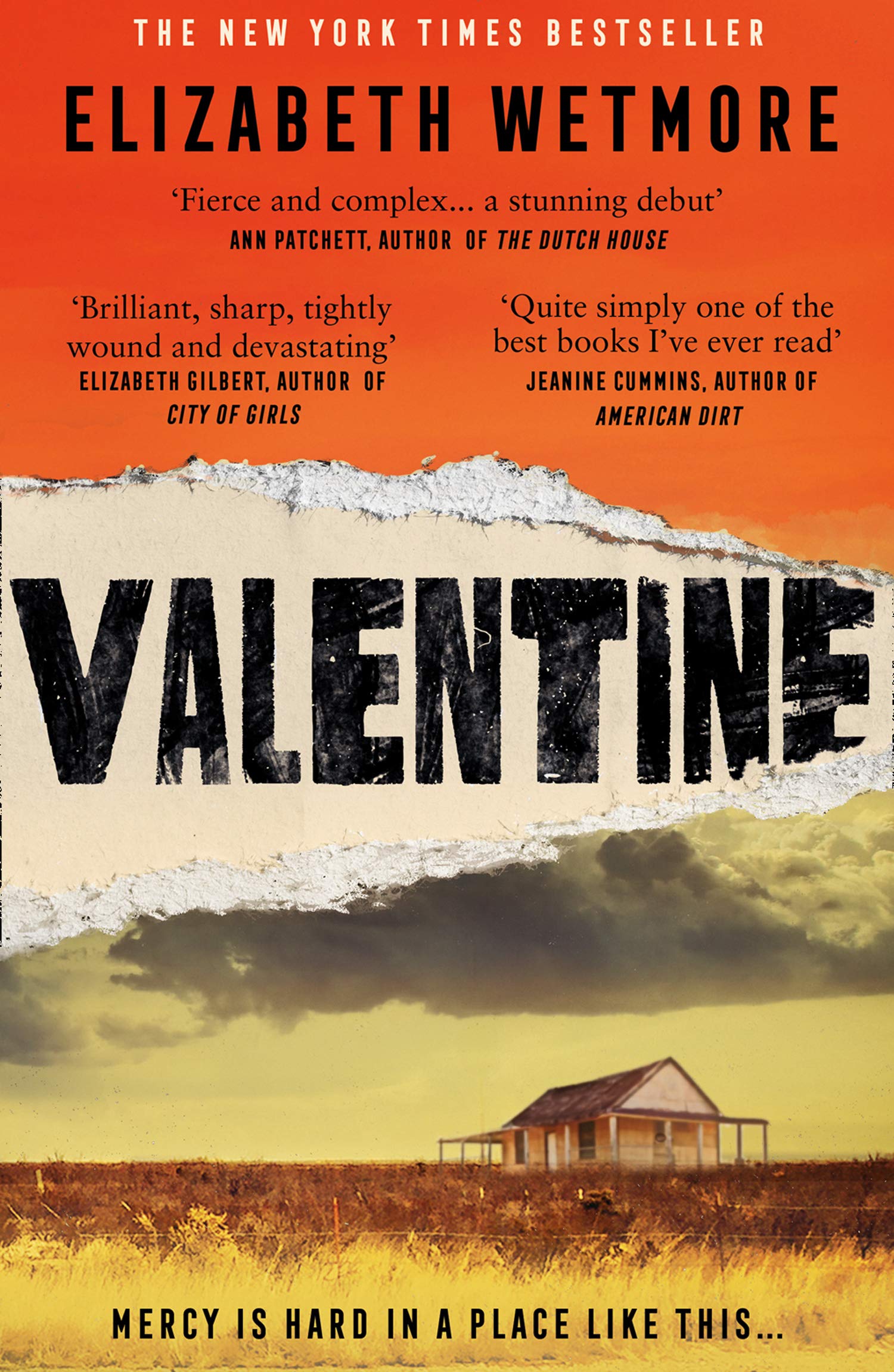 Valentine: A Stunning Debut and a New York Times Bestseller