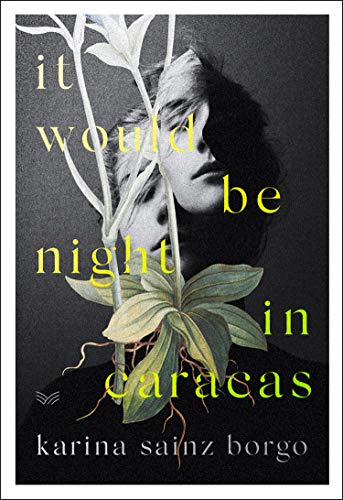 It Would Be Night in Caracas