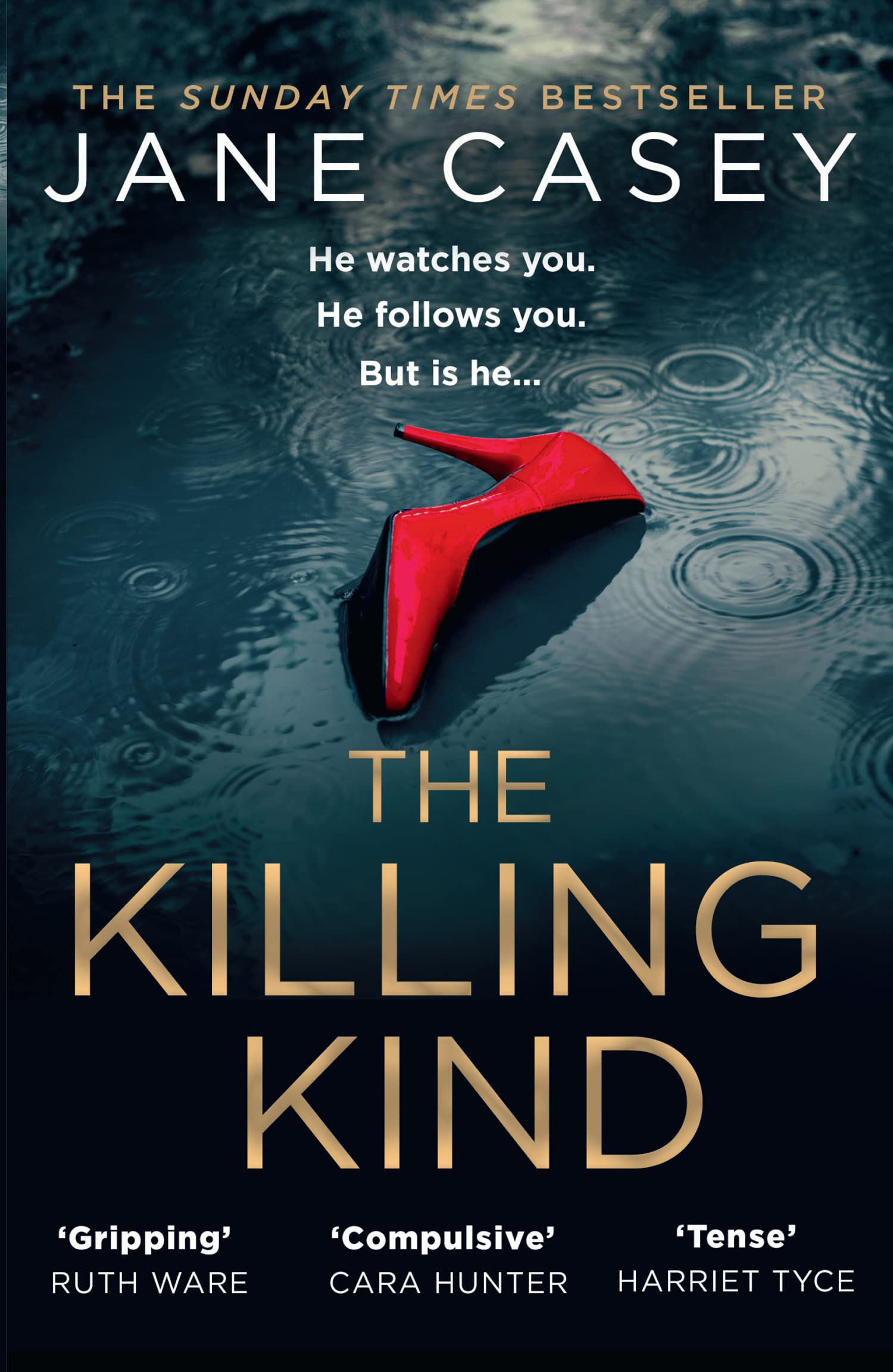 The Killing Kind: The Richard & Judy crime suspense thriller from a Top 10 Sunday Times bestselling author, now a major TV series