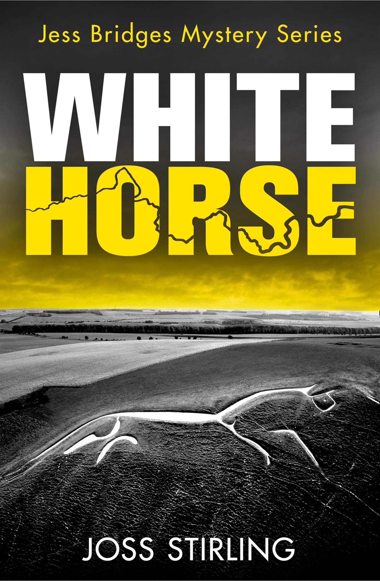 WHITE HORSE: A nerve-shredding new crime thriller series brimming with secrets and suspense (A Jess Bridges Mystery, Band 2)