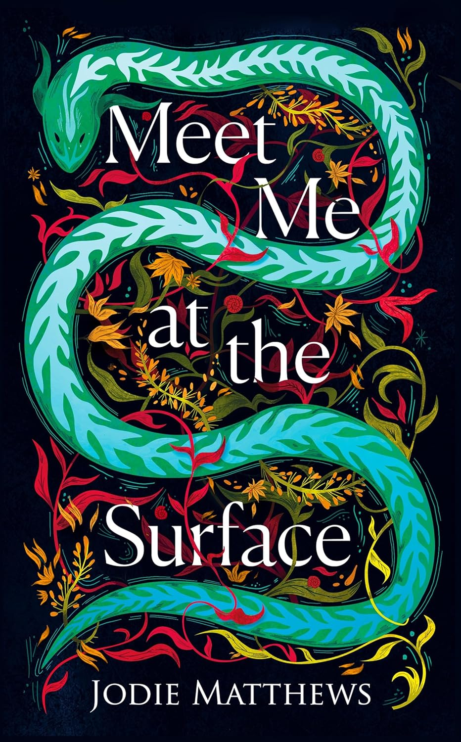 Meet Me at the Surface: A haunting literary debut