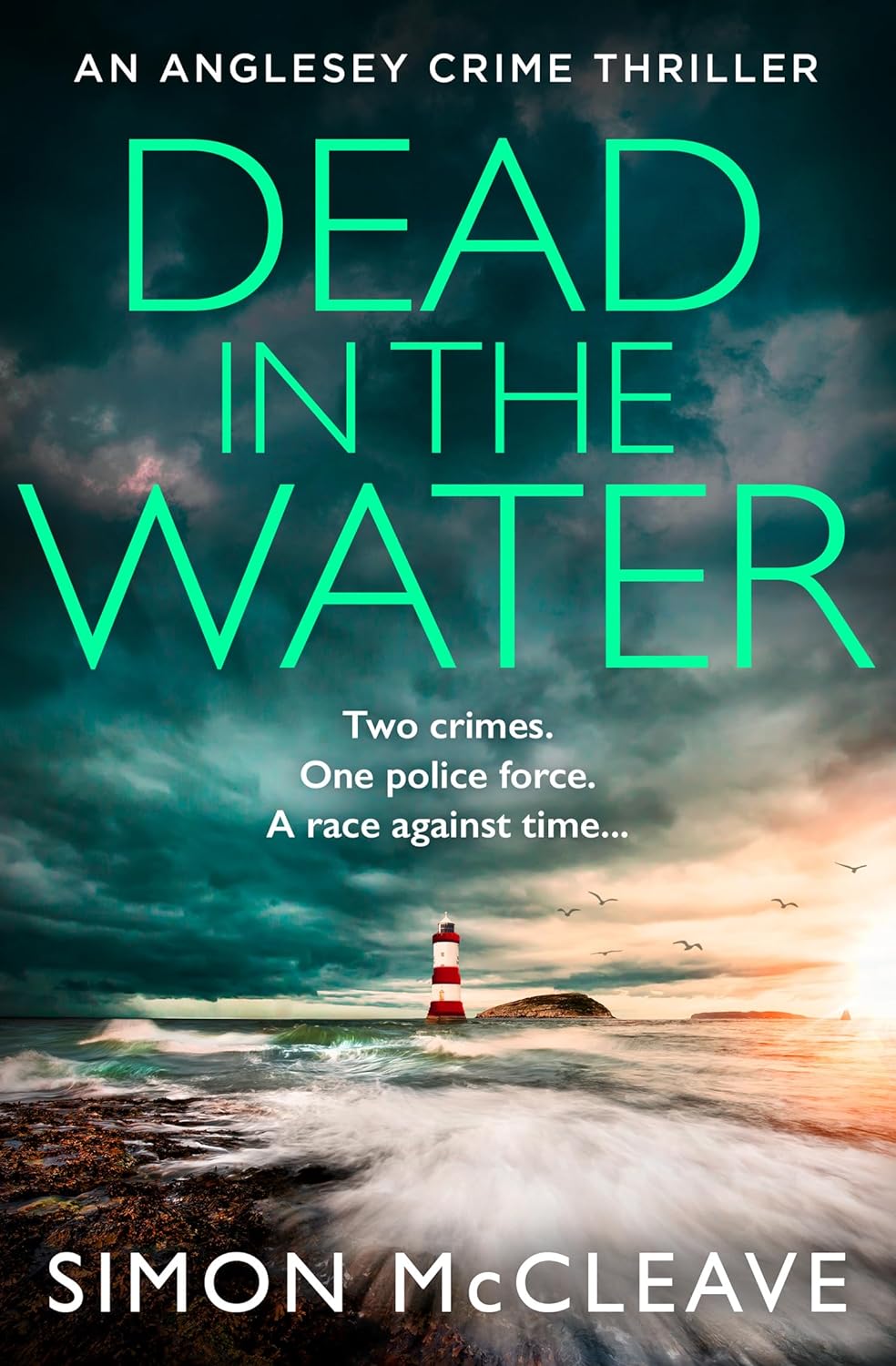 Dead in the Water: The unputdownable new gripping crime thriller from the author of the bestselling Snowdonia DI Ruth Hunter series: Book 5 (The Anglesey Series)