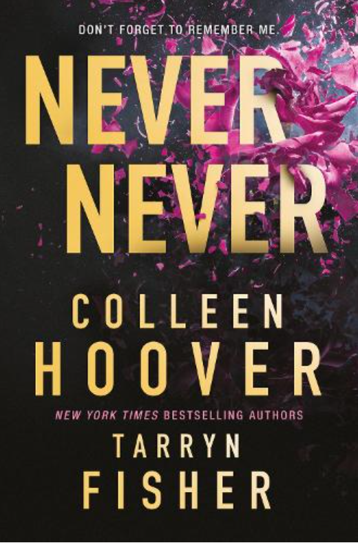 Never Never TikTok made me buy it! The Sunday Times bestselling dark romantic suspense thriller from the BookTok sensation and author of It Ends with ... It Ends with Us and the author of The Wives