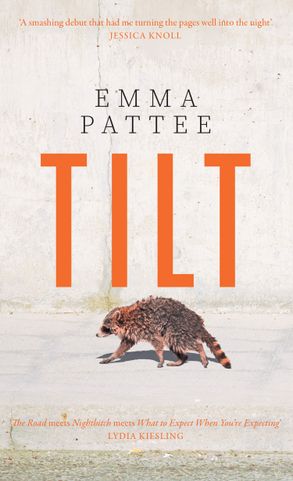 Tilt: A thrilling literary debut about how we confront disaster, hotly anticipated for 2025