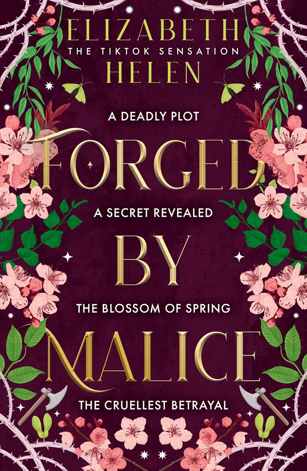Forged by Malice: The viral TikTok sensation (Beasts of the Briar)