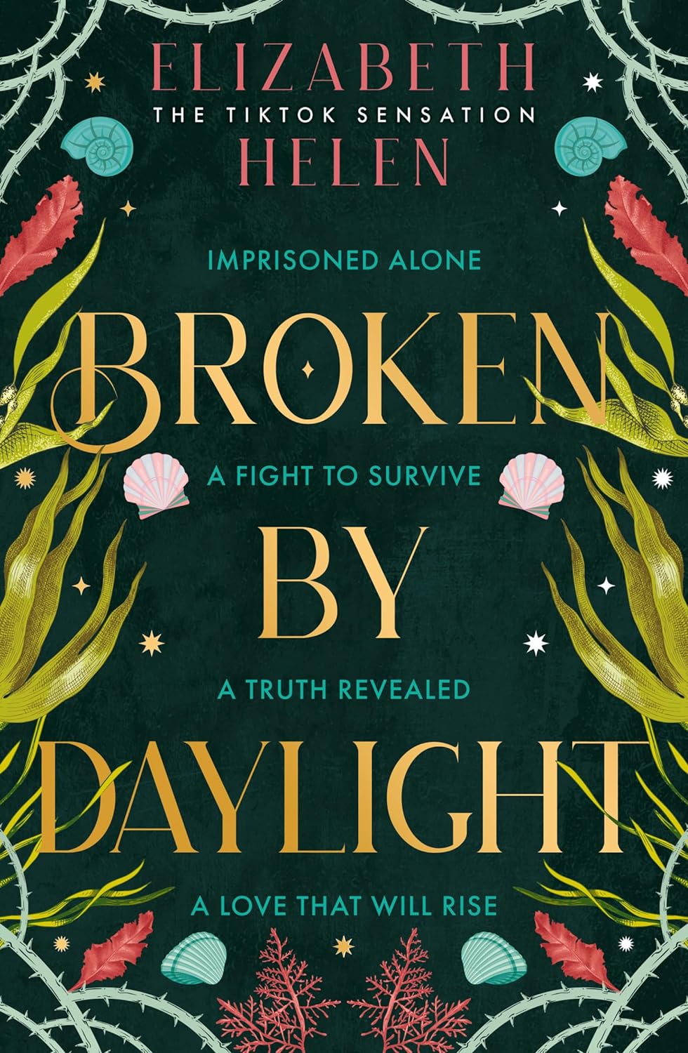 Broken by Daylight: The viral TikTok sensation (Beasts of the Briar)