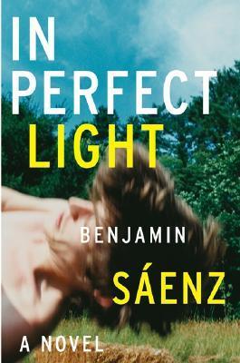 In Perfect Light: A Novel