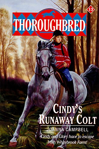 Thoroughbred #13 Cindy's Runaway Colt