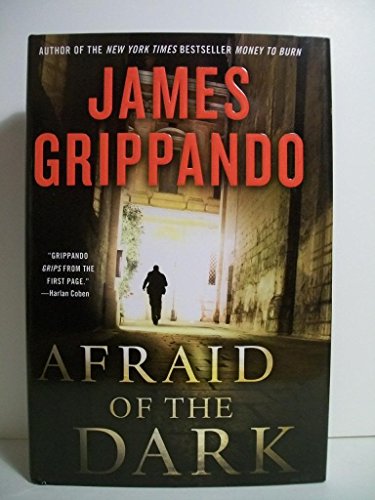 Afraid of the Dark (Jack Swyteck Novel)