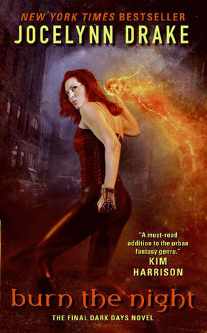 Burn the Night: The Final Dark Days Novel (Dark Days Series, 6, Band 6)