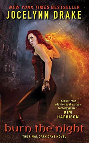 Burn the Night: The Final Dark Days Novel (Dark Days Series, 6, Band 6)