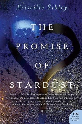 The Promise of Stardust: A Novel