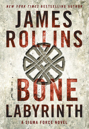 The Bone Labyrinth: A Sigma Force Novel (Sigma Force, 11, Band 11)