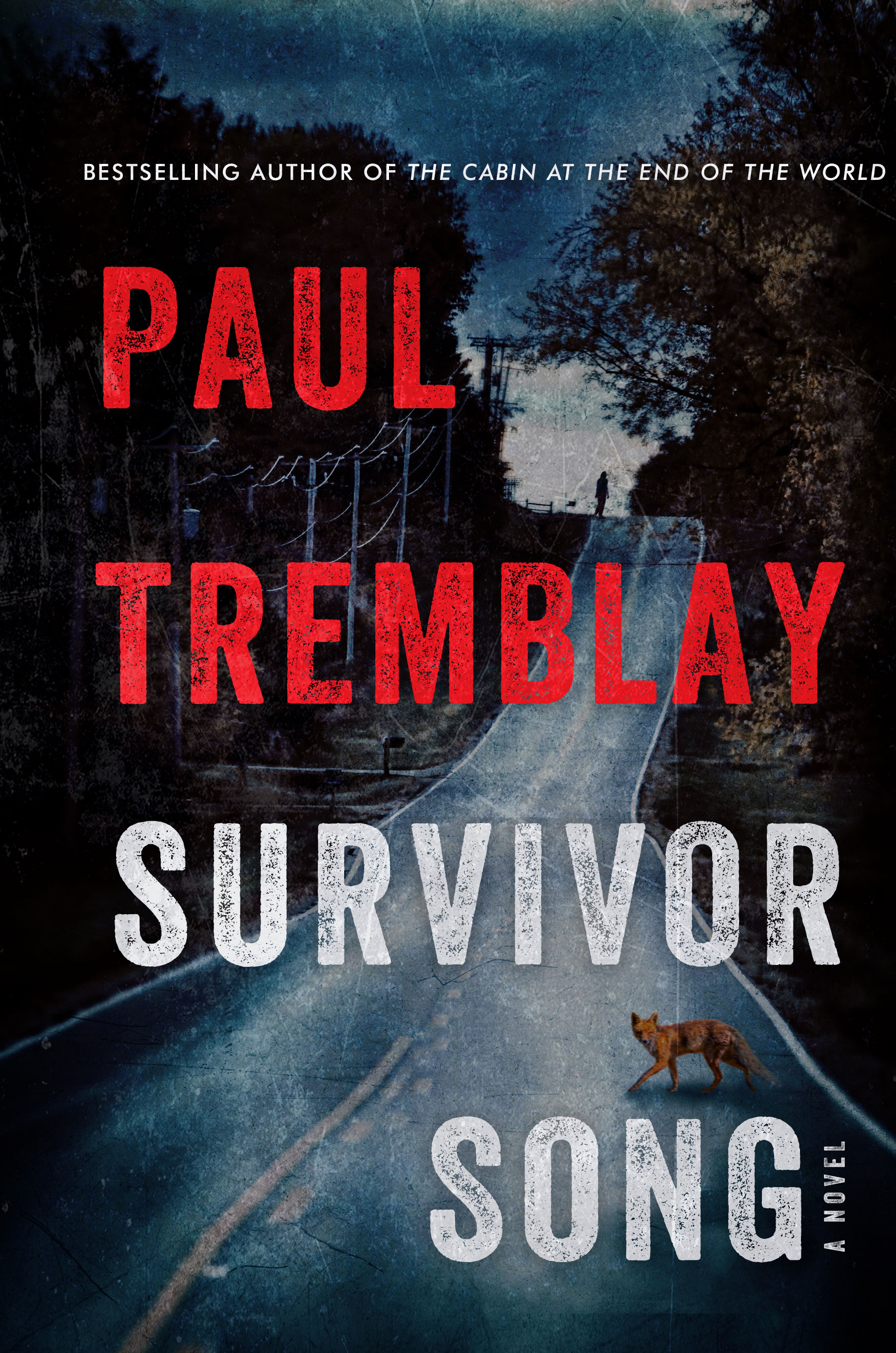 Survivor Song: A Novel