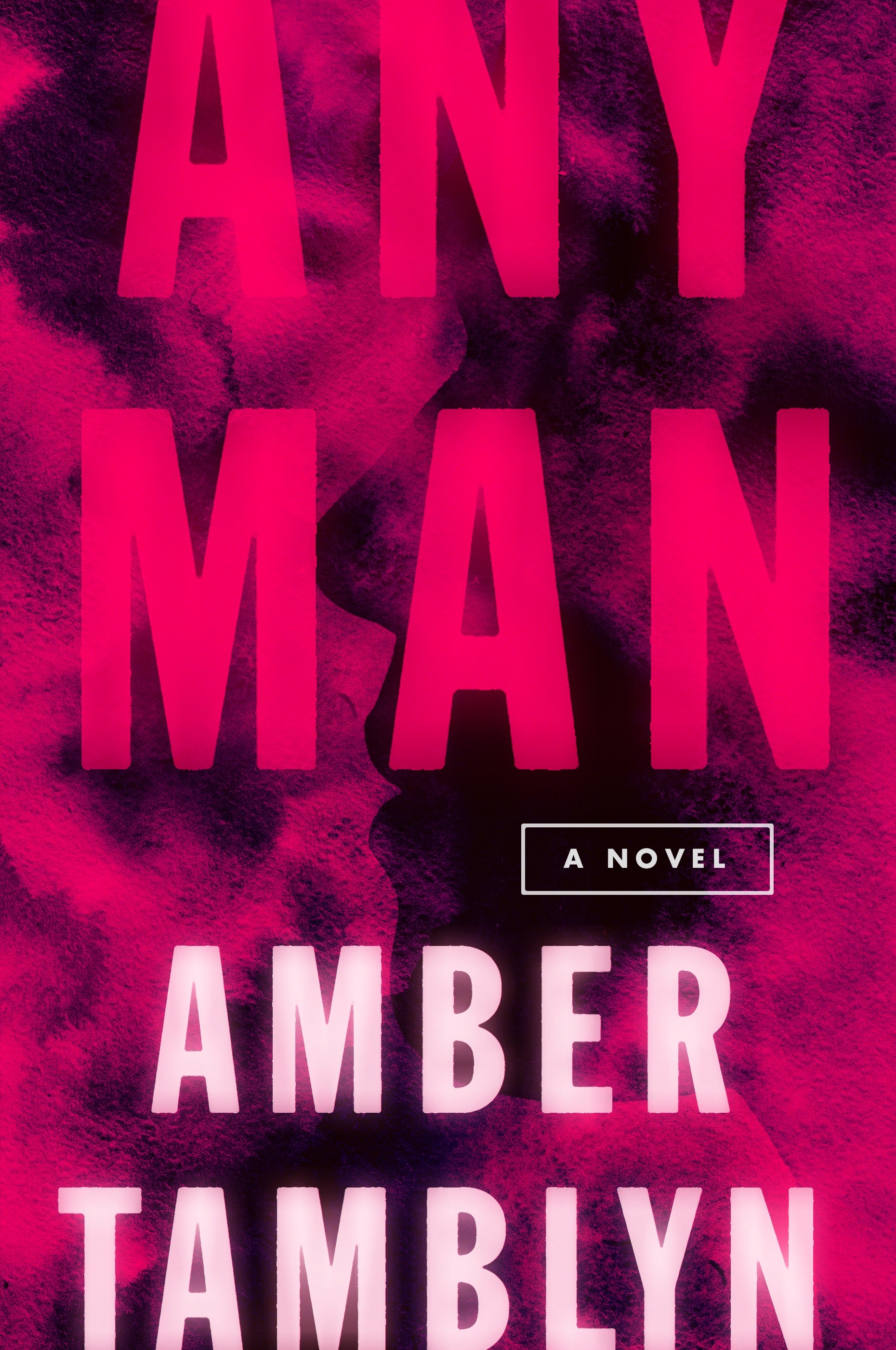 Any Man: A Novel