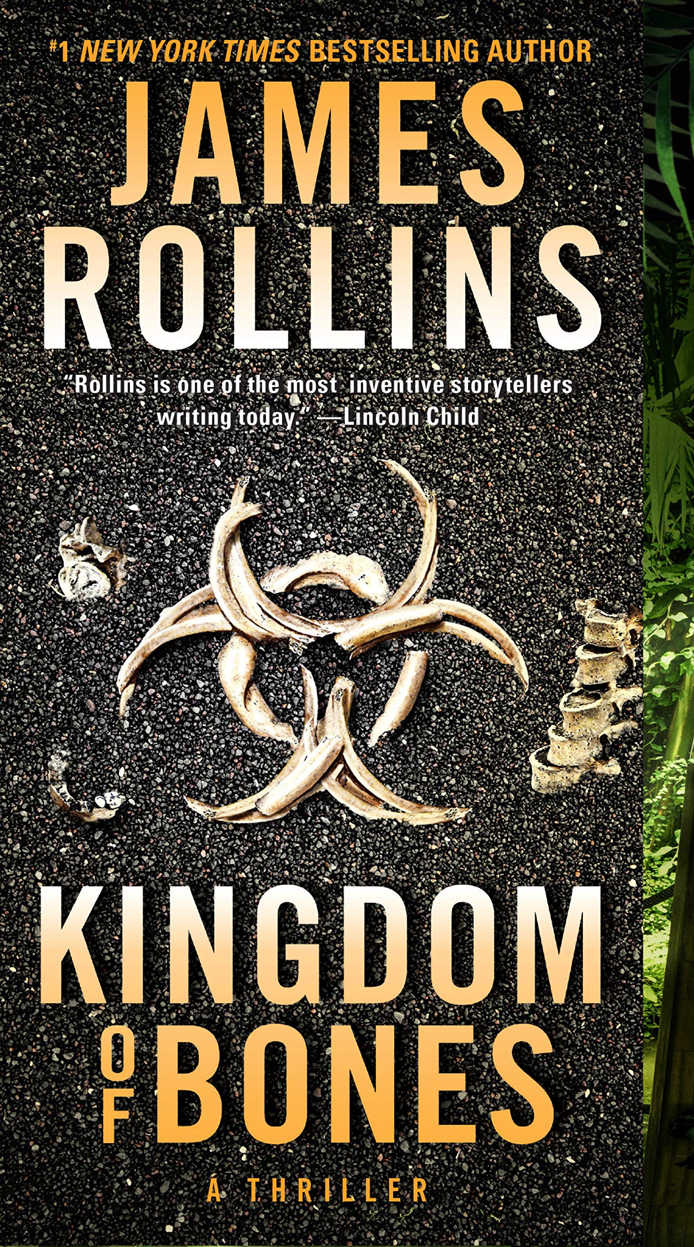 Kingdom of Bones: A Sigma Force Novel (Sigma Force, 16, Band 16)