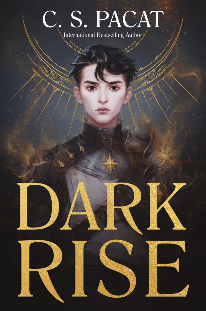 Dark Rise: Indigo Best Book of the Year (Dark Rise, 1, Band 1)