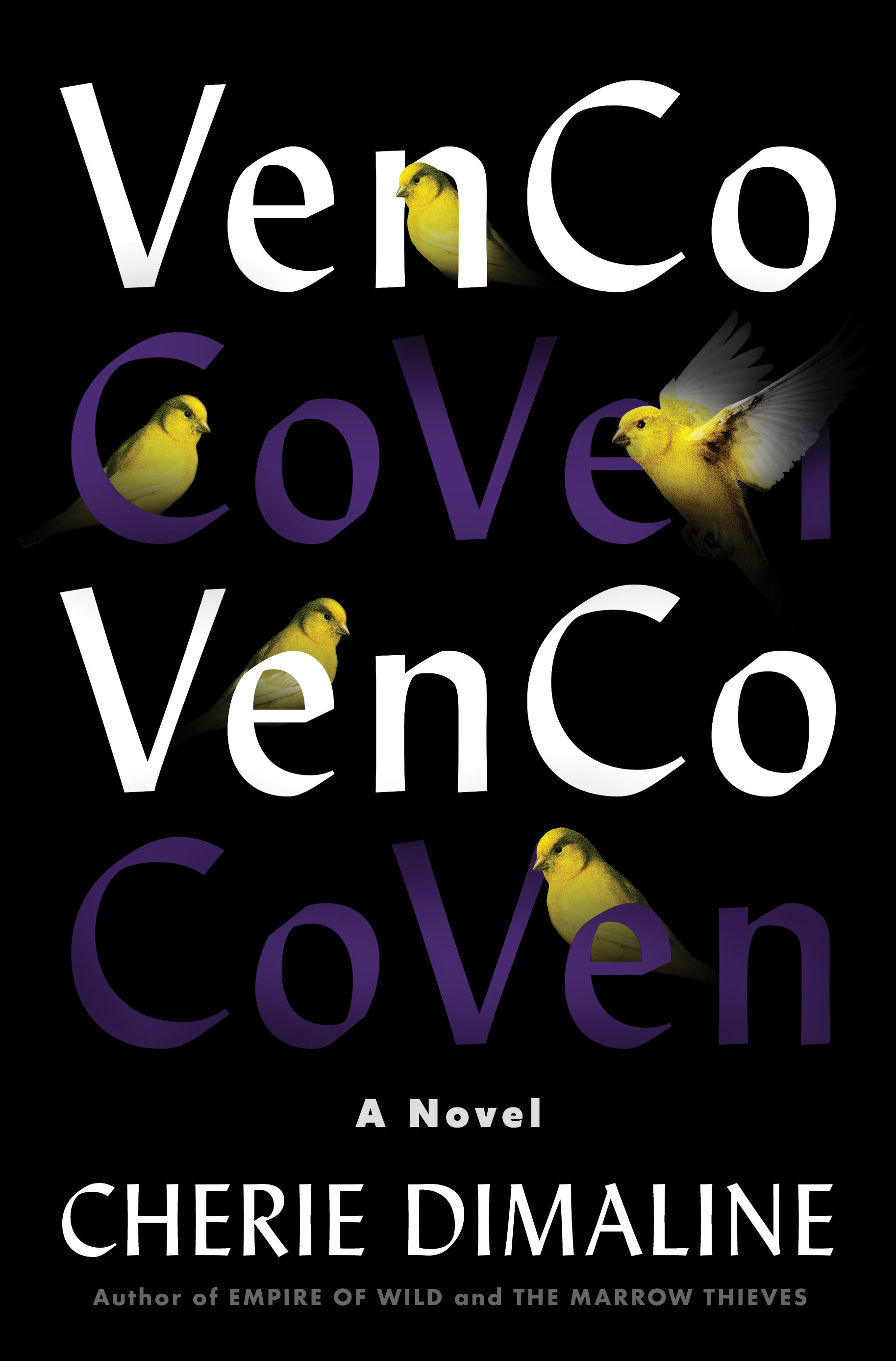 VenCo: A Novel