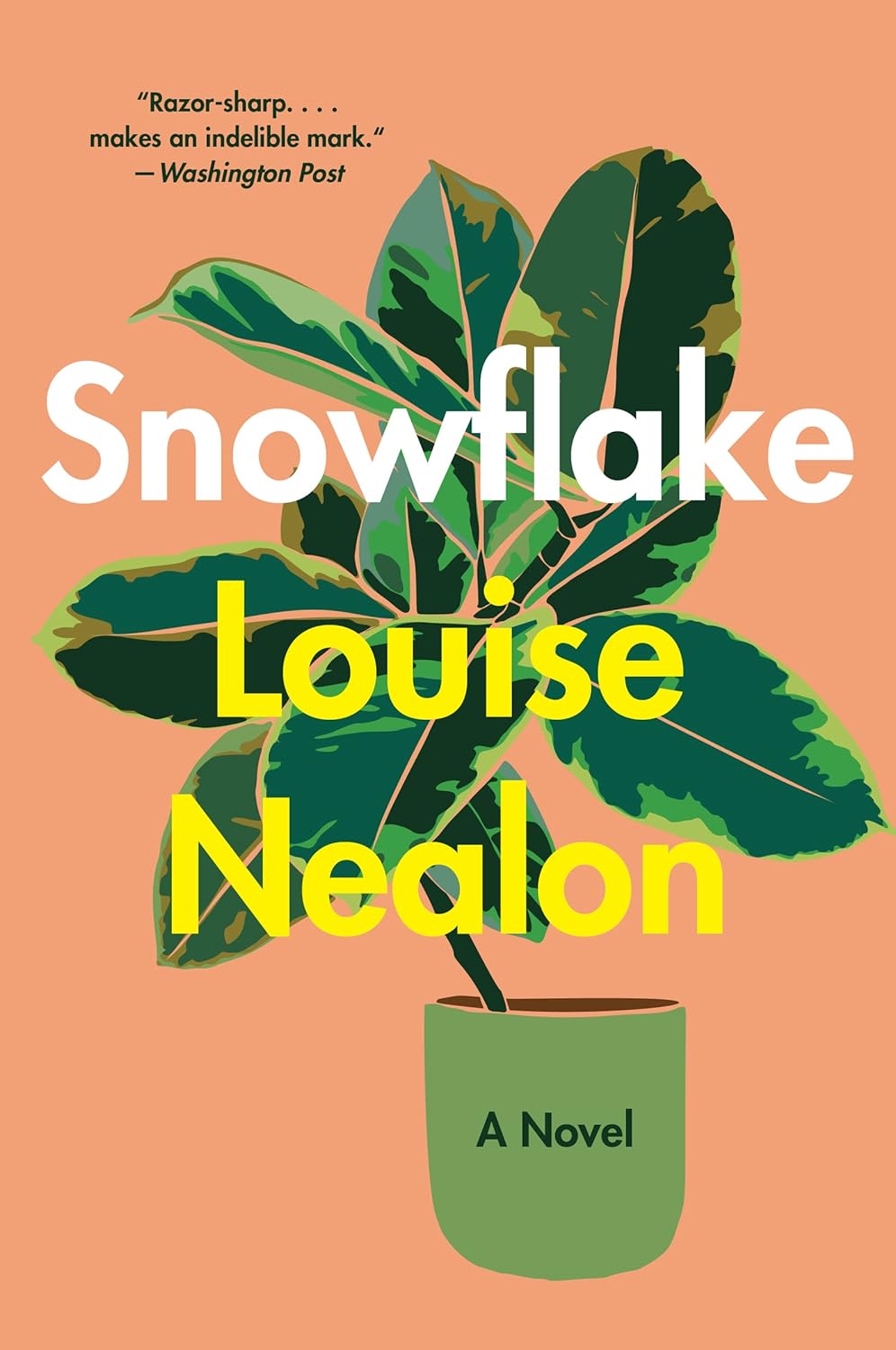 Snowflake: A Novel