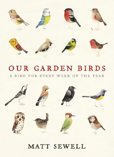 Our Garden Birds