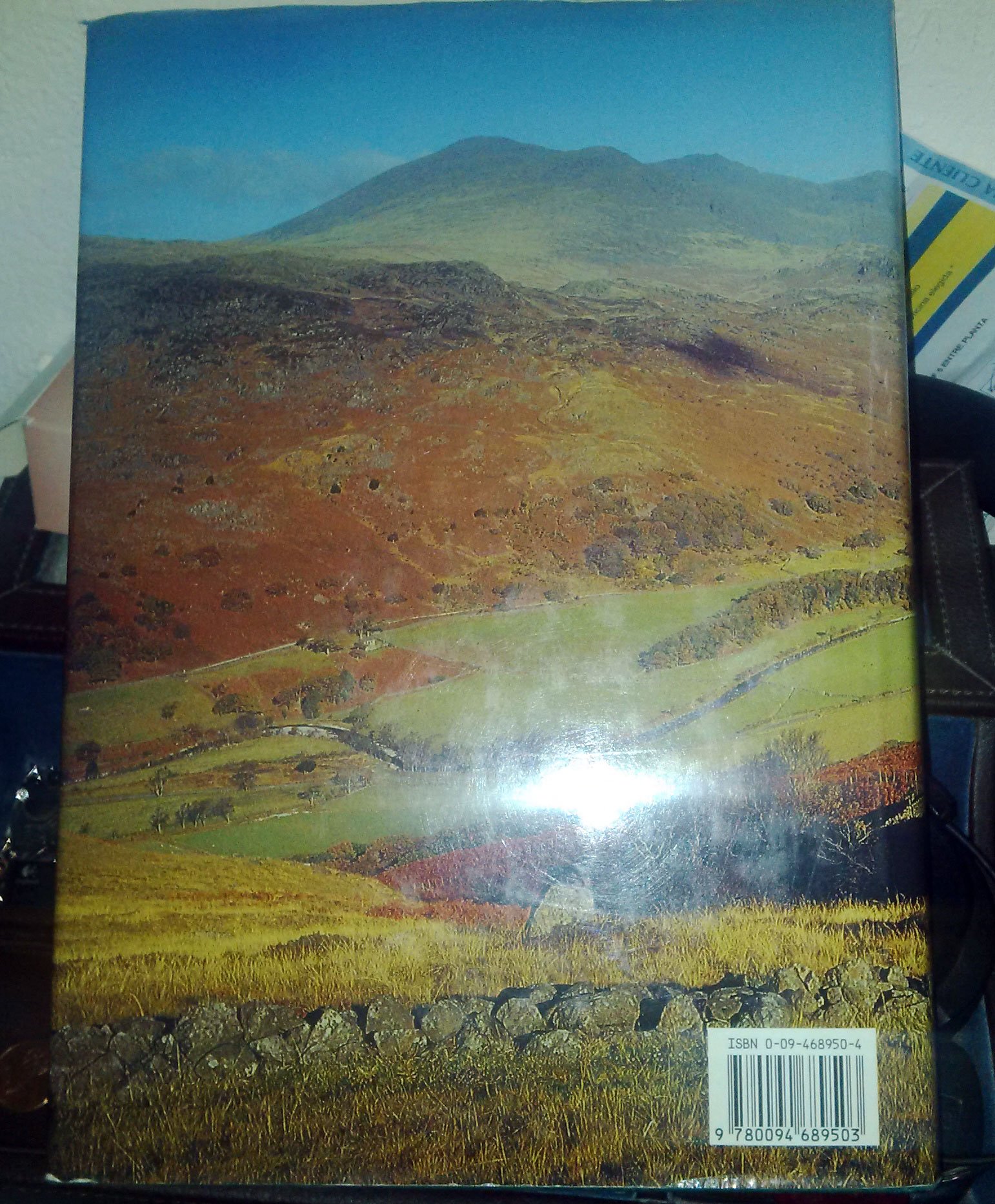 Lakeland Panorama (Biography & Memoirs)