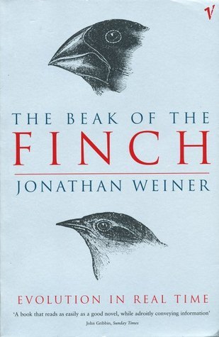 The Beak Of The Finch