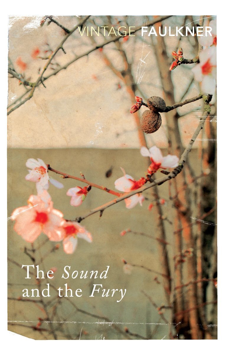 The Sound and the Fury: With an introduction by Richard Hughes (Vintage classics)