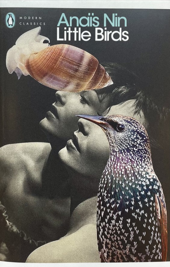 Little Birds (Penguin Modern Classics)