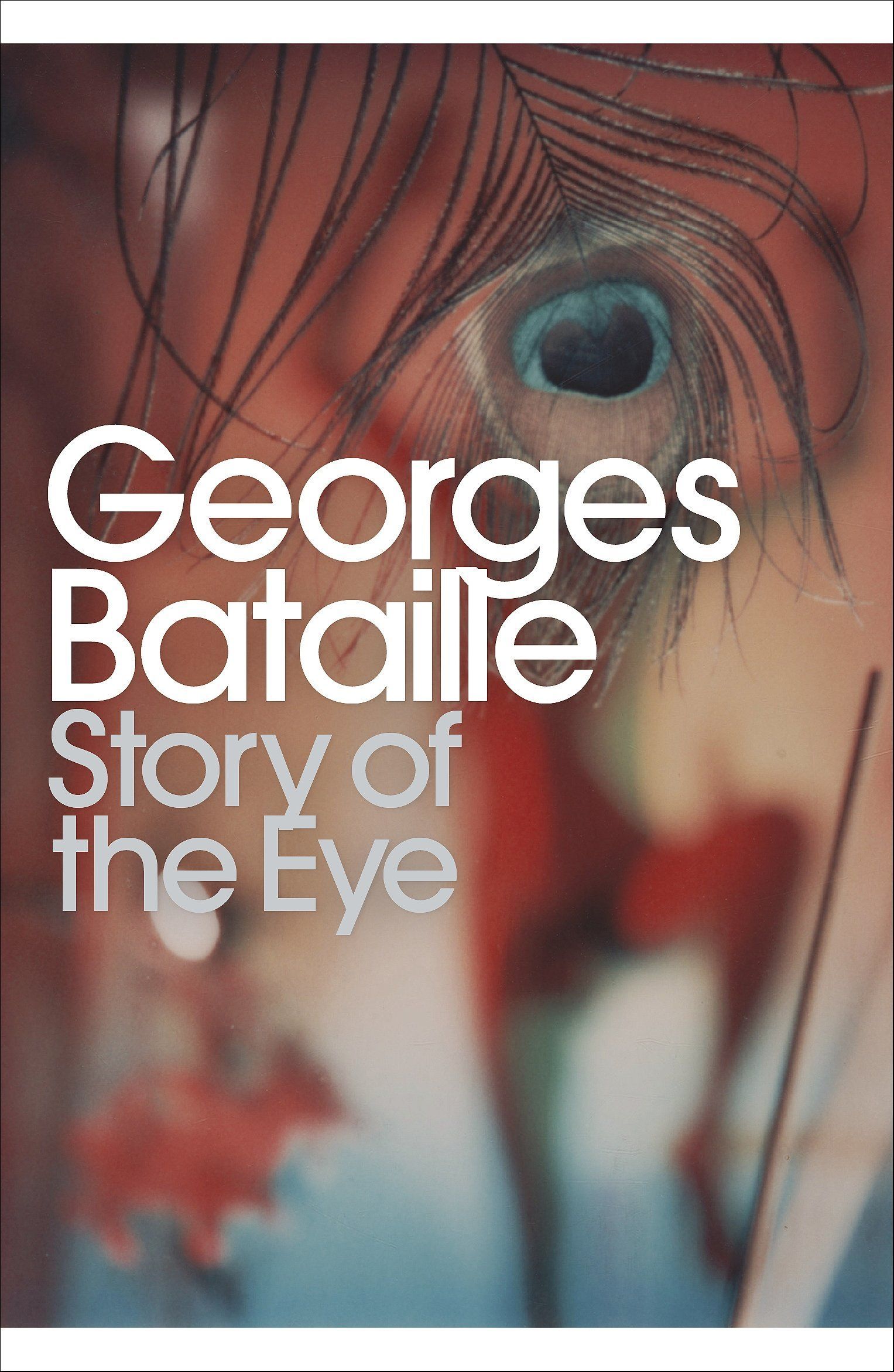 Story of the Eye (Penguin Modern Classics)