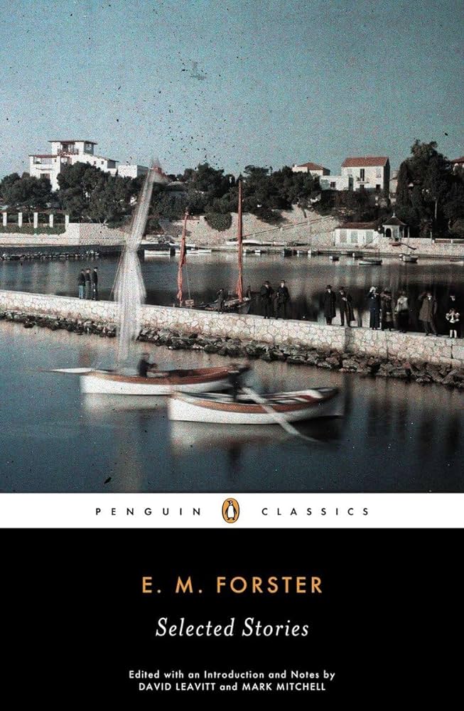 Selected Stories (Penguin Twentieth-Century Classics)