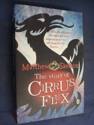 The Story of Cirrus Flux