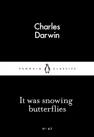 Little Black Classics It Was Snowing Butterflies
