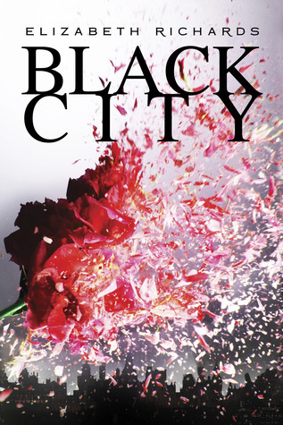 Black City (A Black City Novel, Band 1)
