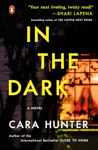 In the Dark (DI Adam Fawley, 2)