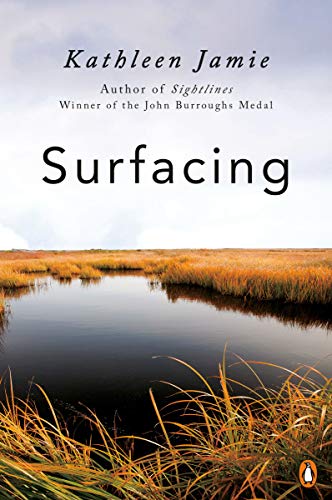 SURFACING