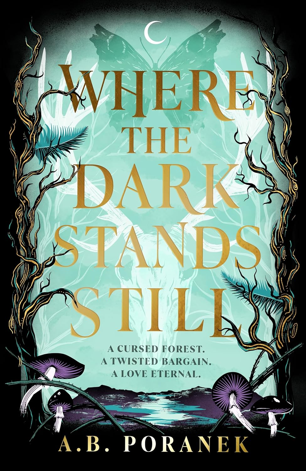 Where the Dark Stands Still: A sweeping, gothic YA fairytale romance