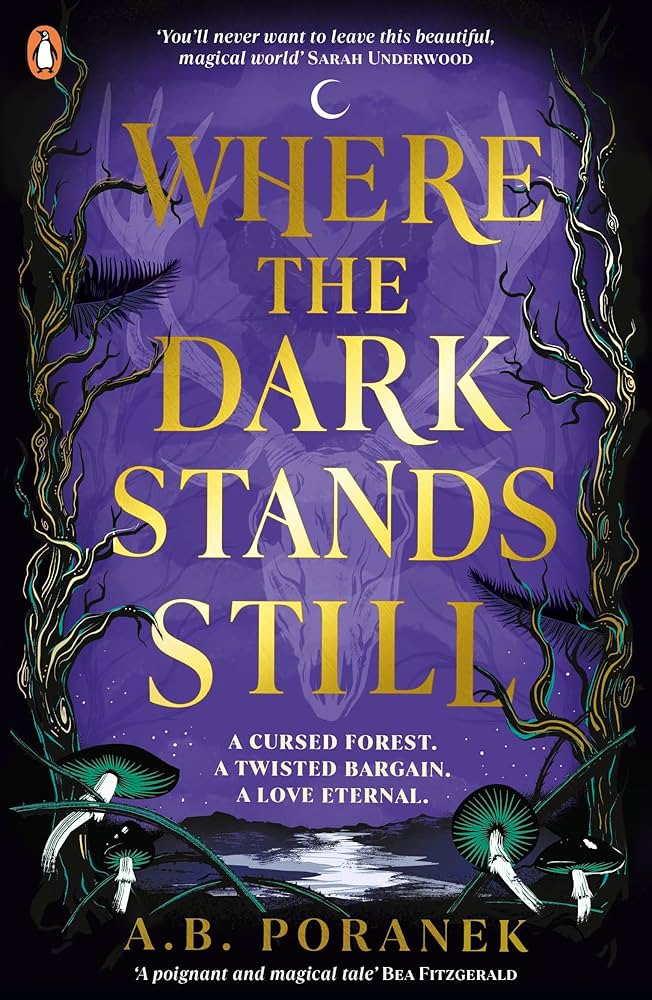 Where the Dark Stands Still: A sweeping, gothic YA fairytale romance