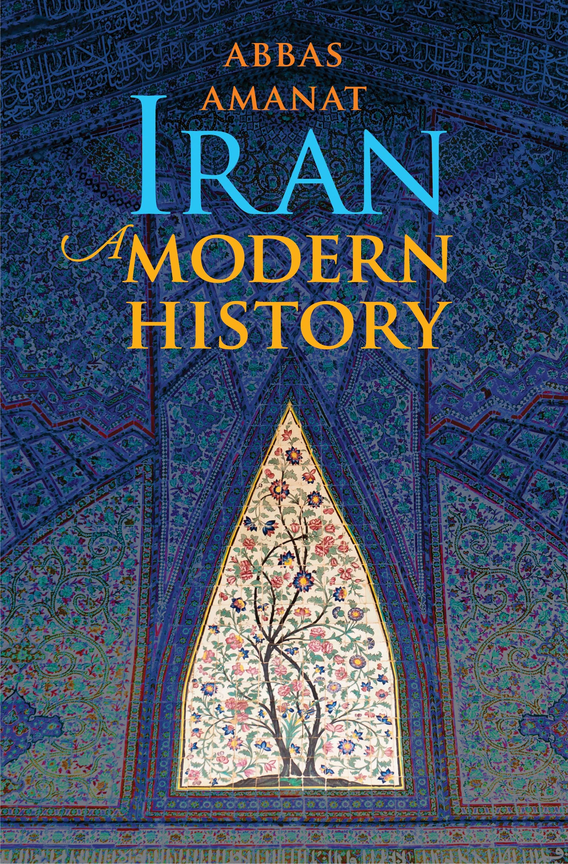 Amanat, A: Iran: A Modern History