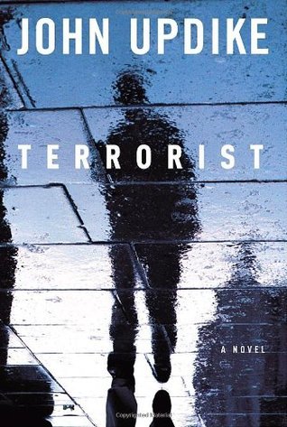 Terrorist (Rough Cut): A novel