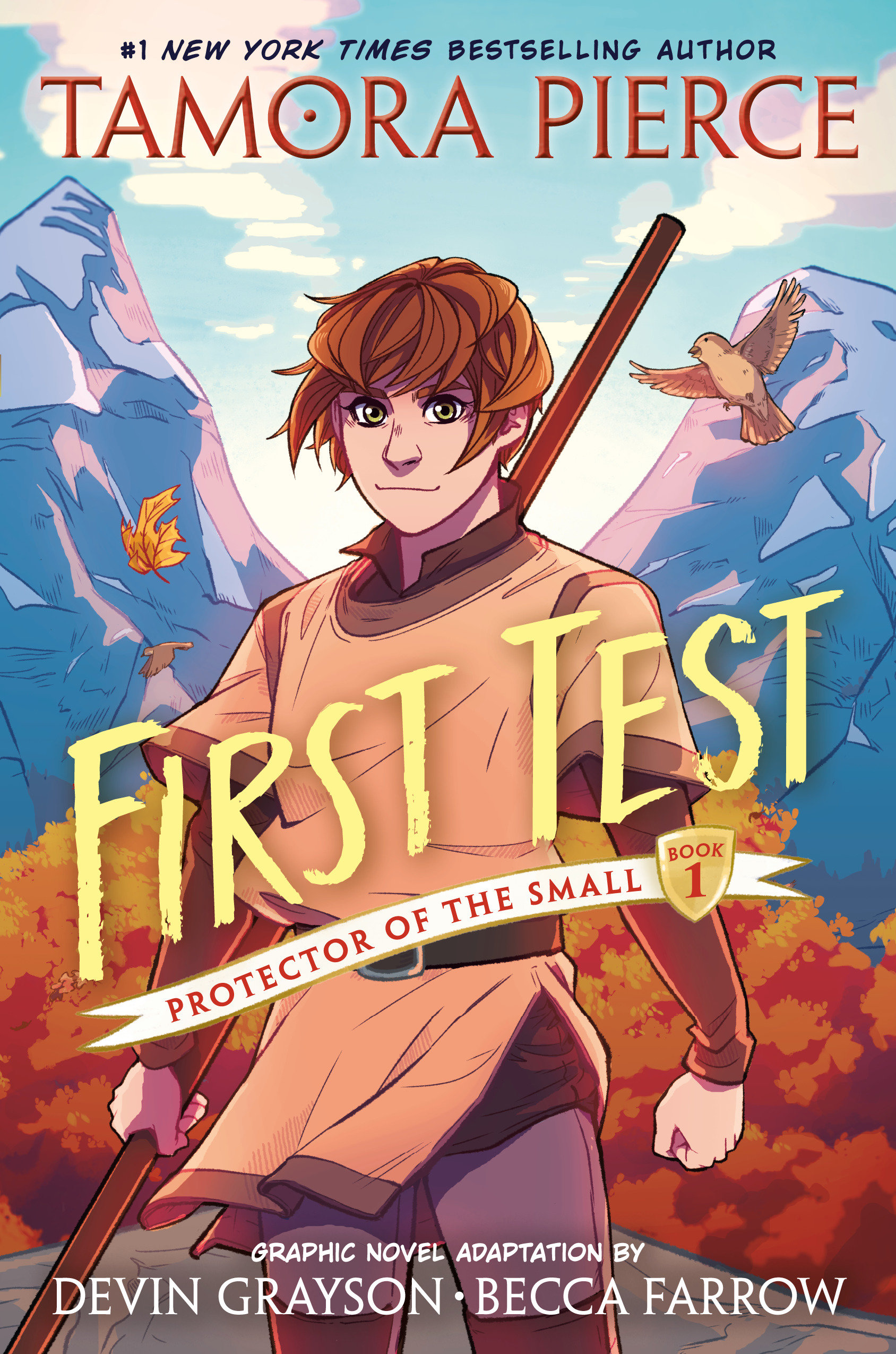 First Test Graphic Novel: (A Graphic Novel) (Protector of the Small, Band 1)
