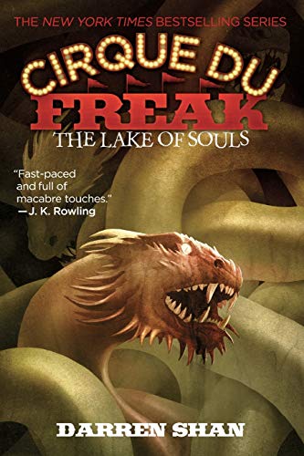 THE Cirque Du Freak: The Lake of Souls: Book 10 in the Saga of Darren Shan (Cirque Du Freak, 10, Band 10)