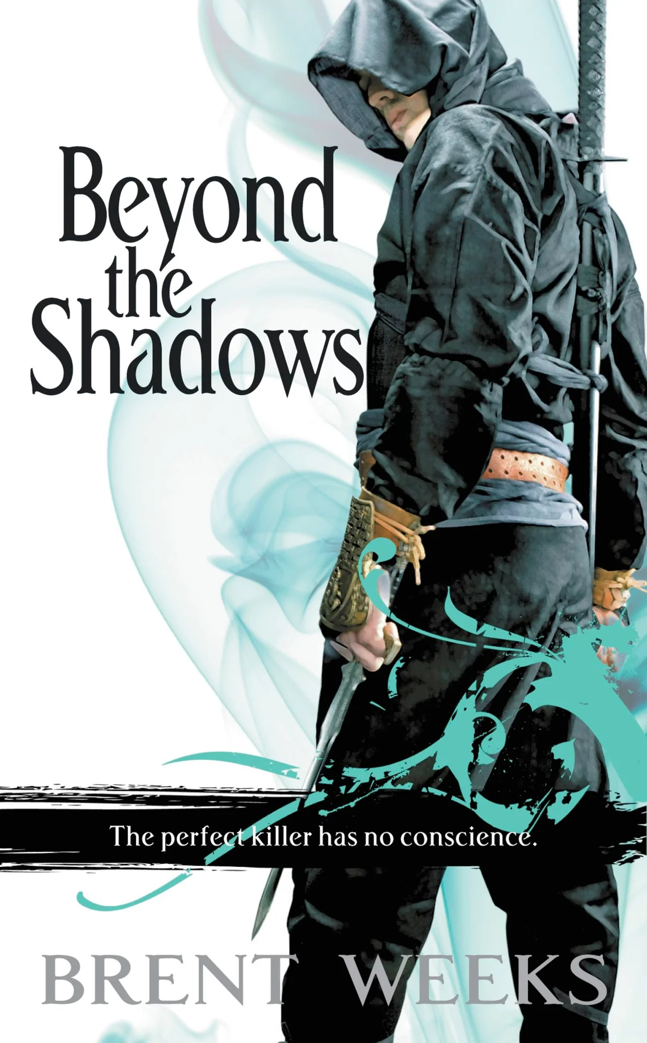 Beyond the Shadows (Night Angel, 3, Band 3)