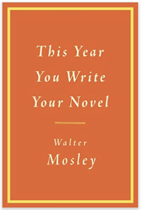 This Year You Write Your Novel