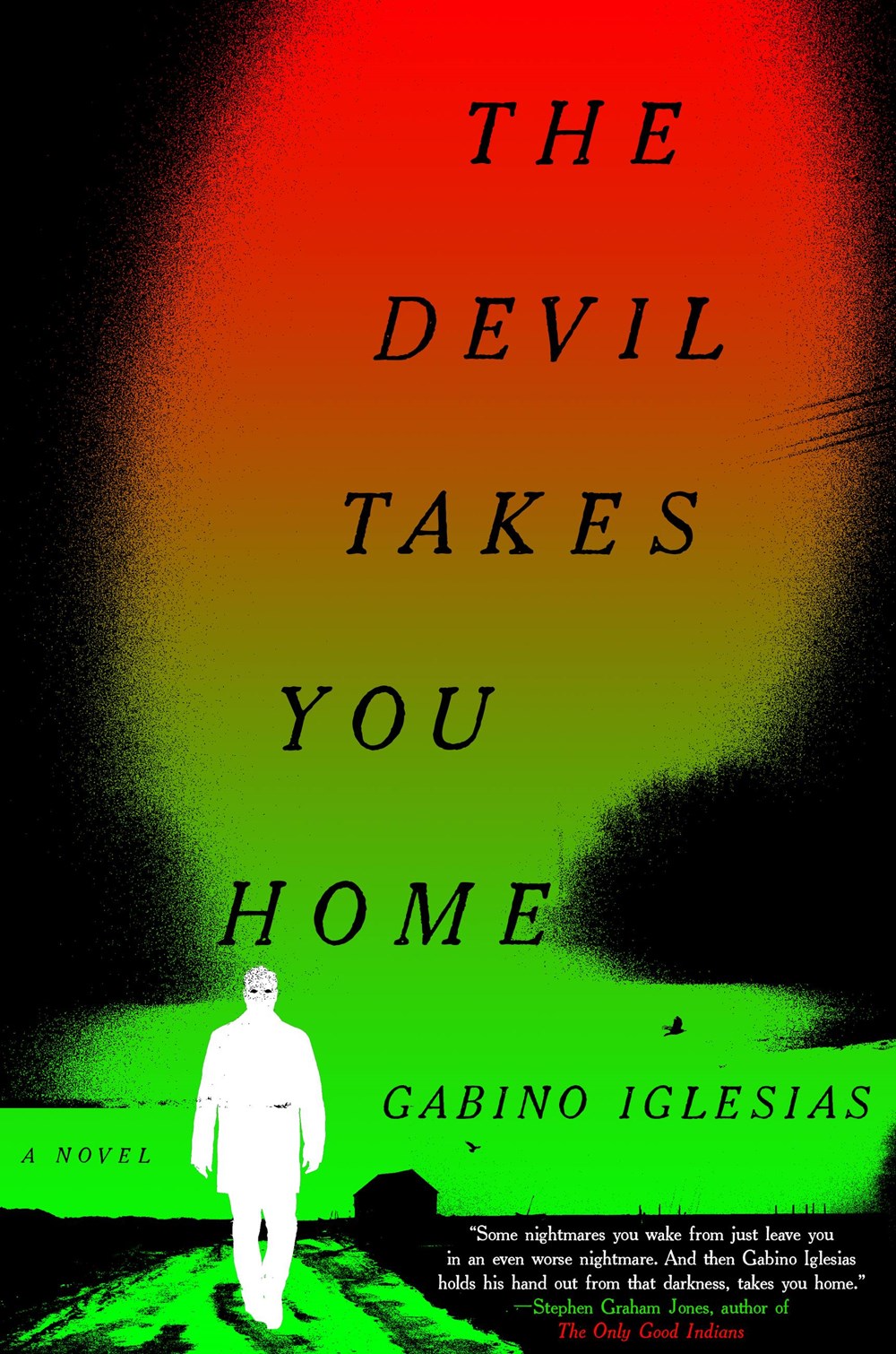 The Devil Takes You Home: A Novel